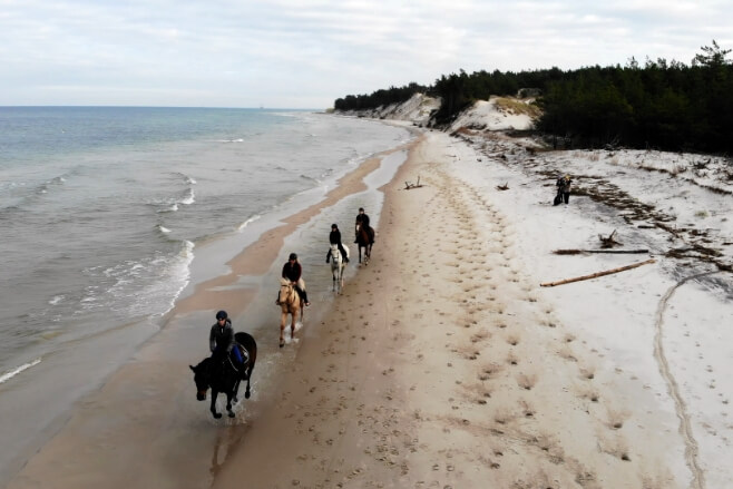konie nad morzem sarbsk