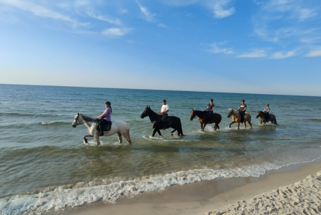 konie nad morzem